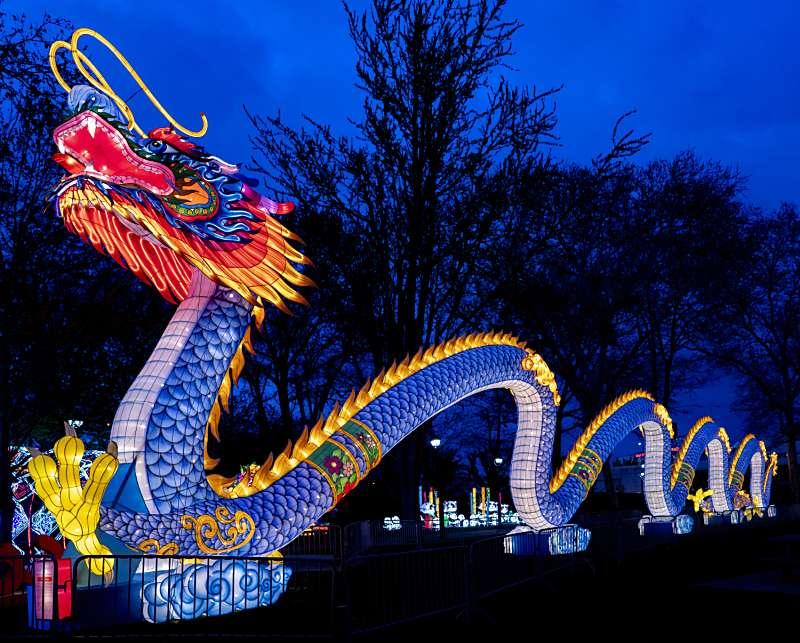 Dragon Lights Columbus graphic