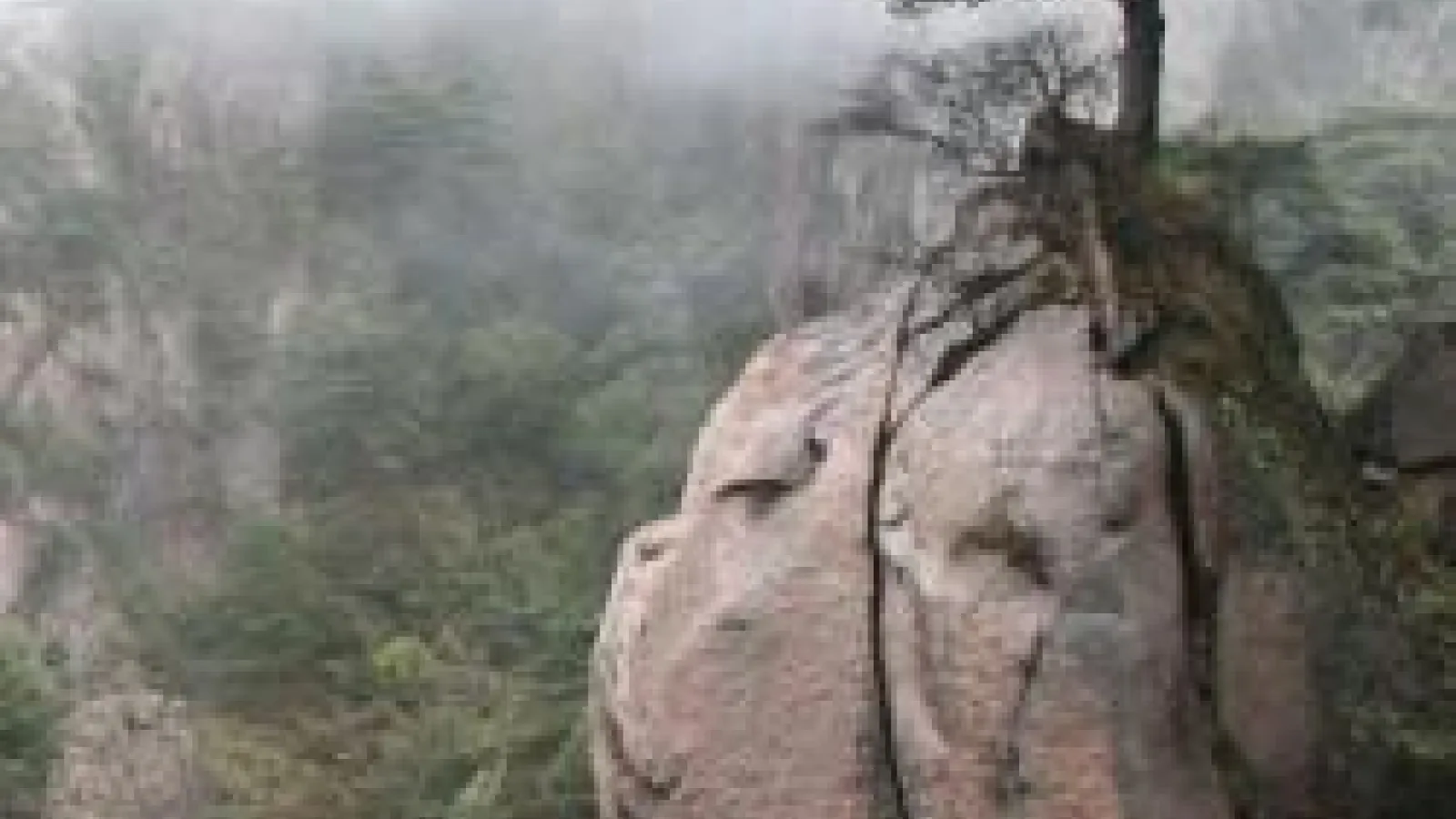image of a tree on a rocky mountain outcrop