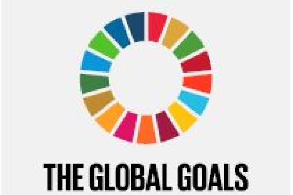 logo of the global goals