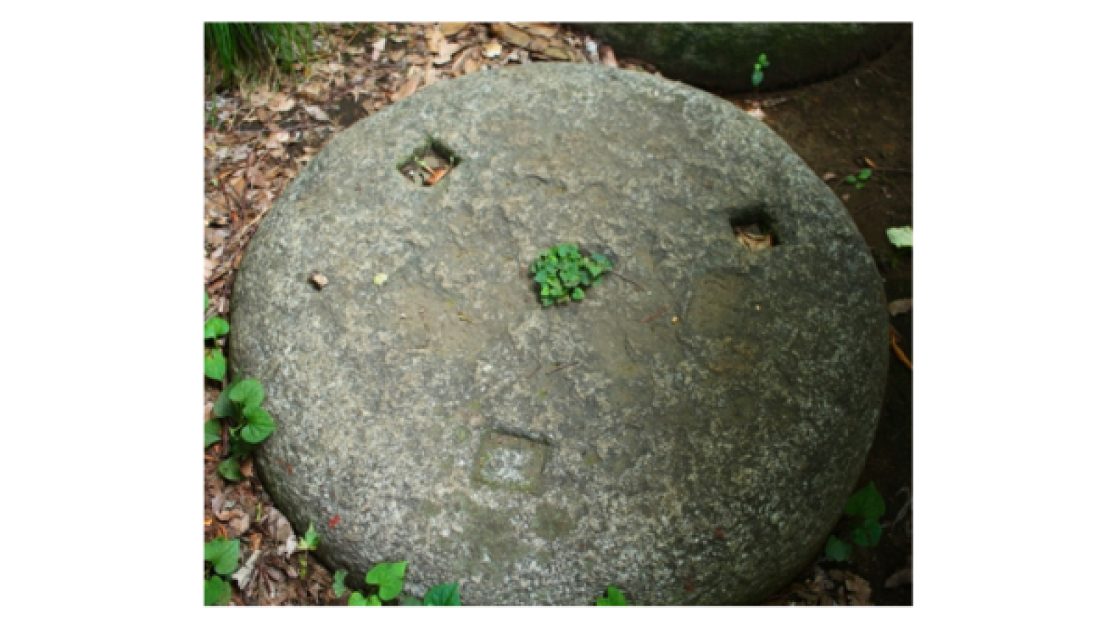 A mossy stone